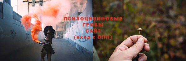 Альфа ПВП Лиски