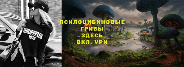 Альфа ПВП Лиски