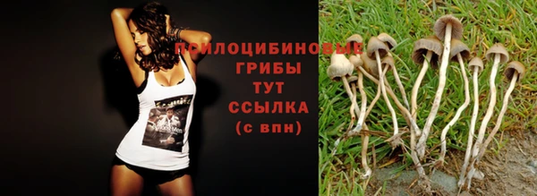 твердый Липки
